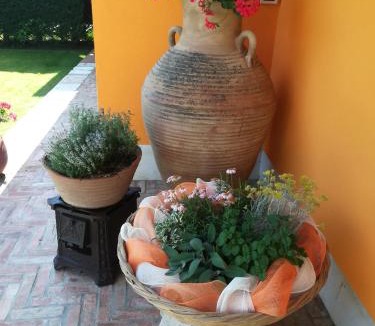 Ca' Savio House | La Brigata Apartments Orange House