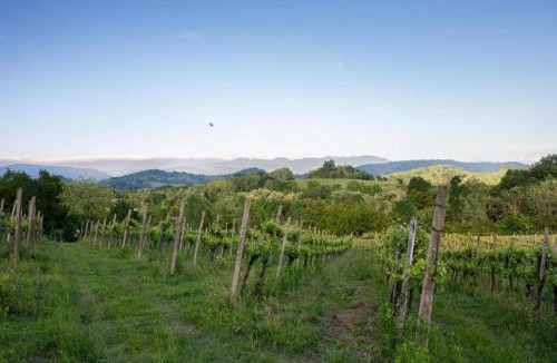 Mossa House | La Ginestra Appartamenti e Camere