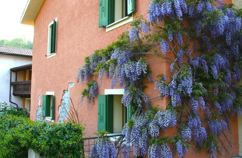 Nogarolo Apartment | La Nicchia