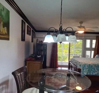 Downtown Apartment | Lakeview Manor