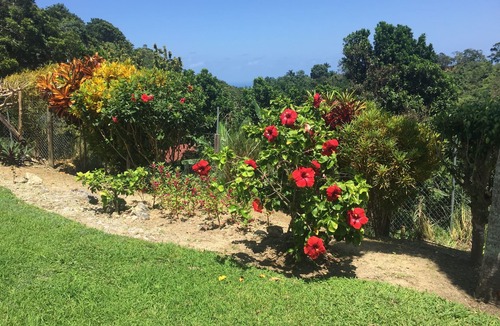 St. Ann's Bay House | Large and unique country house: nQuiet peaceful and secure location.