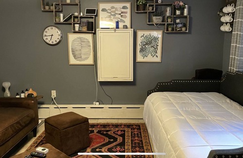 Gowanus Apartment | Large Park Slope 1 Bedroom apartment with backyard access