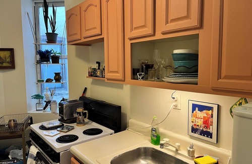 Crown Heights Apartment | LGBTQ+ Haven—Peaceful, Artsy, & Welcoming Space
