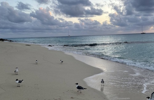 Alice Town Condo | Lovely Studio steps from the beach. Optional golf car rent