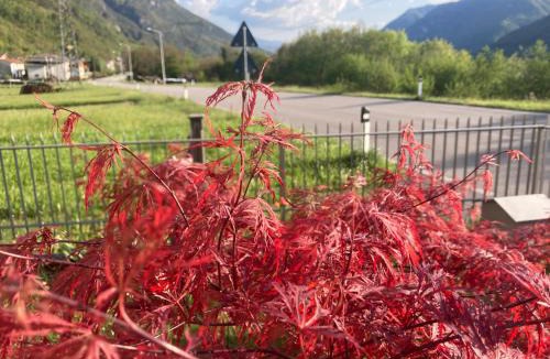 Longarone Apartment | Meraki Dolomiti