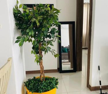 Eden Gardens Apartment | Metcalfe Two Bedroom Suite