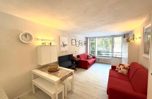Campo Carlo Magno Apartment | Monolocale Cristallo 20 - Serafini