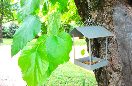 Santa Lucia di Piave House | Mulberry Residence - Private Family Estate