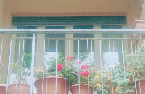 Treviso Apartment | My true house