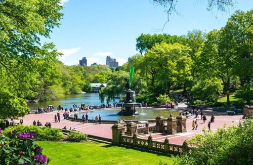 East Harlem Apartment | New2 York Style Stay near Central Park