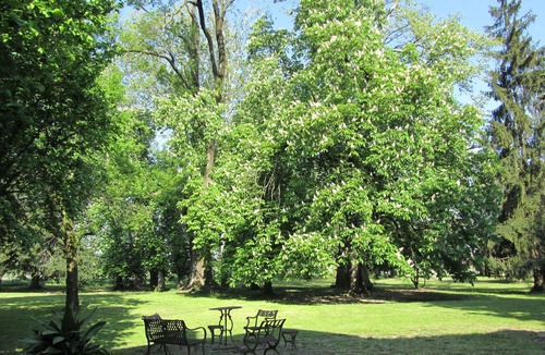 Vigonza Apartment | Nice two rooms apartment in ancient Villa Veneta close to Padua and Venice