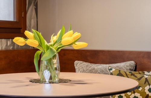 Treviso Apartment | Nobilis Apartment