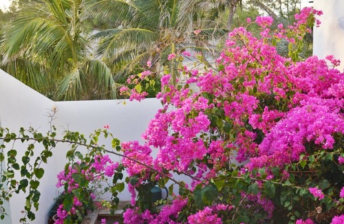 Stella Maris House | Ocean Front Villa - Stunning Views & Tranquility