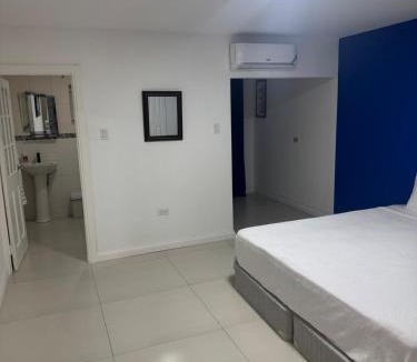 New Kingston Apartment | Pearl of the City LIGUANEA