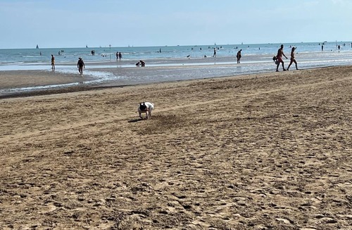 Gorgo Apartment | Perfect for families, golfers, dog lovers, only 12 min from the beach of Lignano