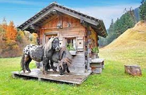 Selva di Val Gardena Apartment | Piciulei Pitl