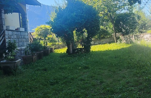 Capo di Ponte House | Pine forest house