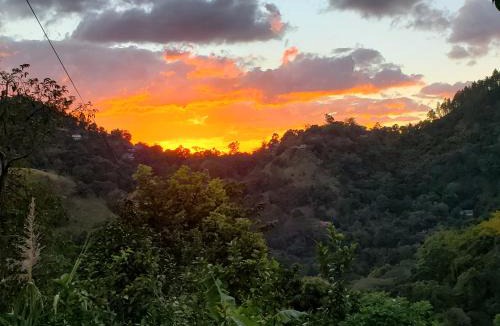 Newcastle House | Prince Valley Guesthouse