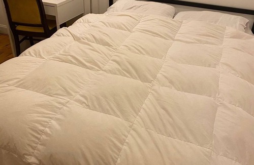 Cypress Hills Apartment | Quiet, spacious, private room in Bushwick, BK!