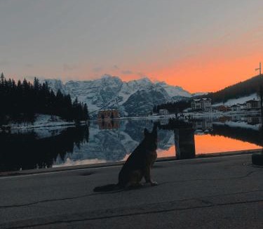 Misurina Hotel | Quinz - Locanda Al Lago