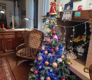 Rovigo Bed & Breakfast | Quo Vadis Qui Vieni
