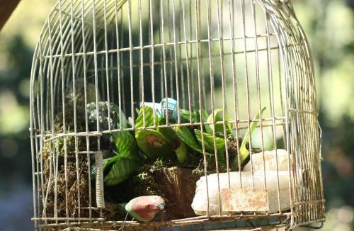 Macae Bed & Breakfast | Refúgio Boa Sorte , Sana -Macaé RJ