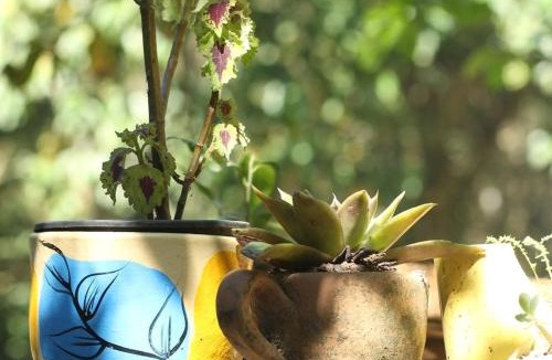 Macae Bed & Breakfast | Refúgio Boa Sorte , Sana -Macaé RJ
