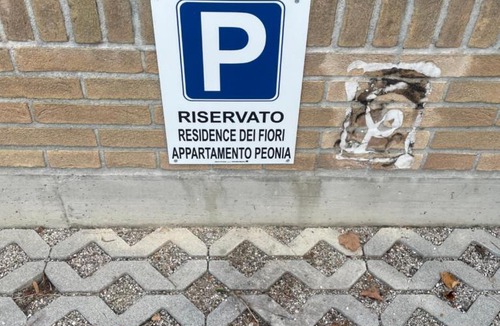 Pontecchio Polesine Apartment | Residence dei Fiori - Appartamento Margherita