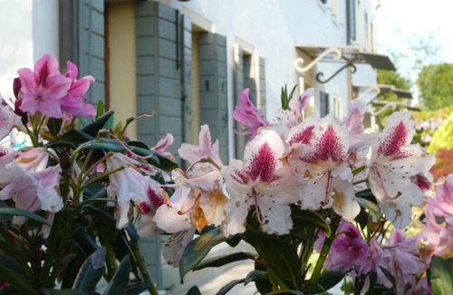 Mirano Bed & Breakfast | Residenza Serena