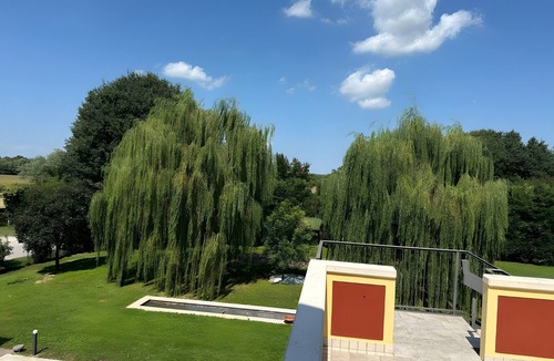 Mirano Apartment | Room 'Camera 1 Blu' with Shared Terrace, Wi-Fi and Air Conditioning