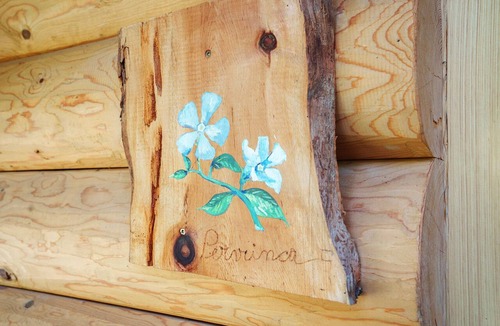 Cogolo Apartment | Room 'Cazzuffi Pervinca' with Mountain View, Shared Garden and Wi-Fi