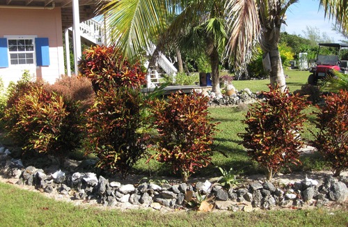 Green Turtle Cay Cottage | Sea Breeze Cottage, near the Atlantic Beach