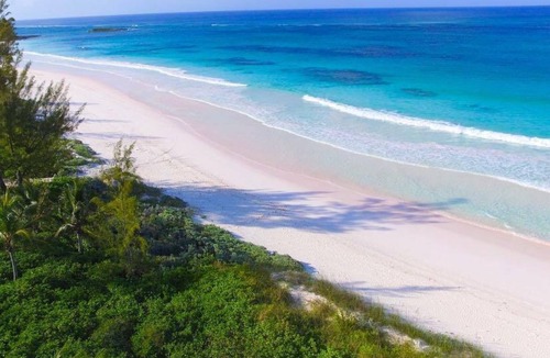 Governor's Harbour Apartment | Seahorse Apartment on Casuarina Bay beach with ocean view