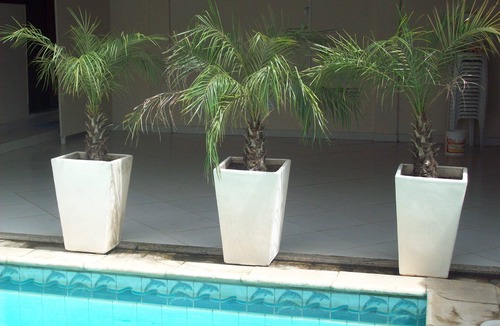 Engenho do Mato House | Season for holidays, parties, leisure