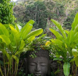 Newcastle Hotel | Serendipity Holistic Resort Spa