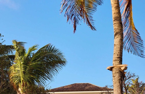 Dunmore Town Resort | Sharon's House 3 bed/3 bath home & 1 bed/1 bath guest cottage & plunge pool