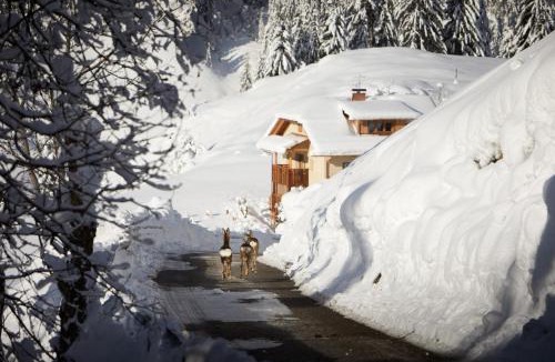 Badia Ski Chalet | Sotciastel Exclusive Chalet in Alta Badia