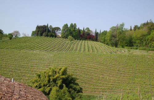 Conegliano Hotel | Sporting Hotel Ragno D'oro