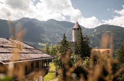 Campo di Trens Apartment | Sprechenstein