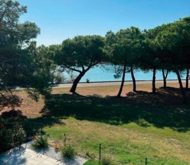Isola Albarella Villa | Stunning villa with pool and lagoon view