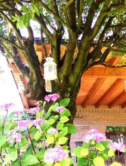 Vigodarzere House | Su Misura