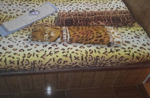 Loteamento Ville D'monte Alegre Apartment | Suite (it's a room with bathroom) single or double