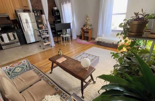 Clinton Hill Apartment | Sunny boho-zen apt