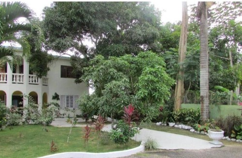 Negril Apartment | The Ocean Wave Villa