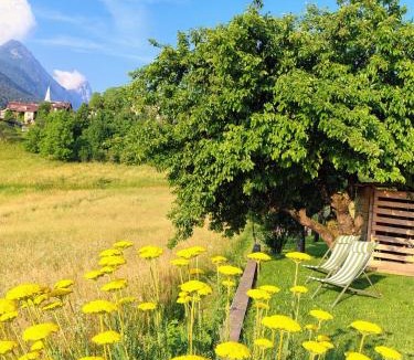 Valle di Cadore Apartment | Tra prati e monti - Dolomiti Bellunesi