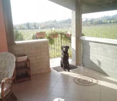 Pedemonte Apartment | Uno sguardo sulla Valpolicella