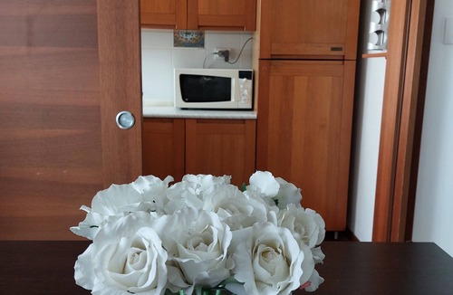 Vicenza Apartment | V&G apartment Vicenza, 4/5 pax, near old town center