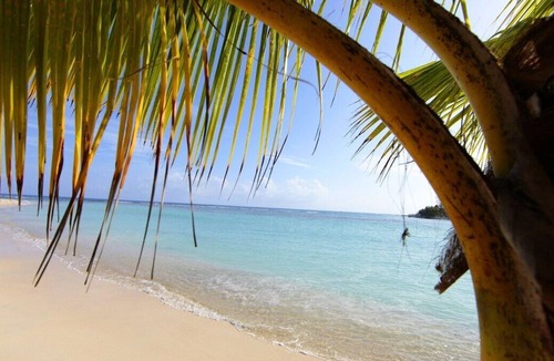Runaway Bay Resort | Vacay at Runaway Bay Adult Only All Inclusive Resort