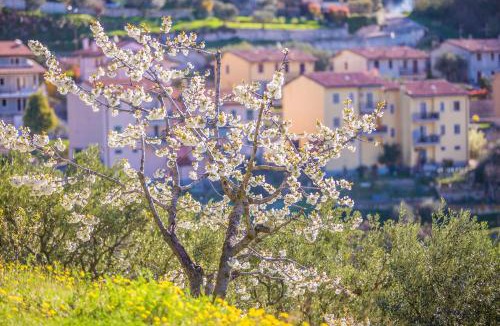 Domegliara House | Valpolicella Homes Recioto Apartment
