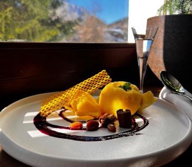 Forni di Sopra Hotel | Villa Alpina Hotel